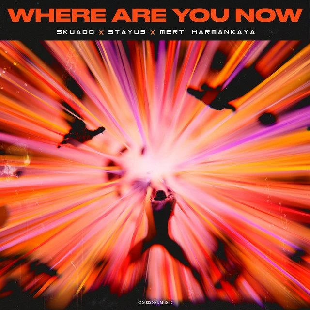 Chart track