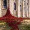 30 000 ceramicznych maków w Tower of London – hołd na 80. rocznicę zakończenia II wojny światowej