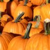 Dlaczego warto jeść dynię? 7 zaskakujących korzyści dla zdrowia i urody 🎃✨