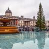 Trafalgar Square znów błyszczy! Kultowa choinka z Oslo wraca do Londynu – dziś wielkie rozświetlenie
