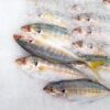 Several small fish lying on crushed ice, eyes open and silver bodies visible