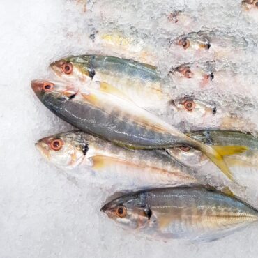 Several small fish lying on crushed ice, eyes open and silver bodies visible