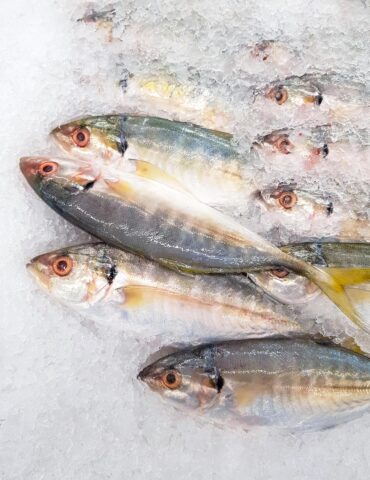 Several small fish lying on crushed ice, eyes open and silver bodies visible