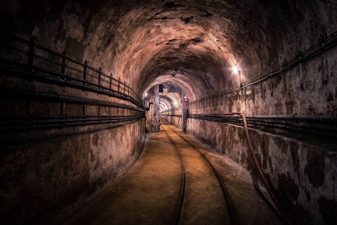 Underground tunnel with curved ceiling, rusty rails along a concrete floor, and dim lighting.