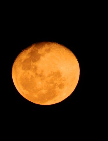 Full orange moon glowing in a dark night sky, cratered surface visible against black background