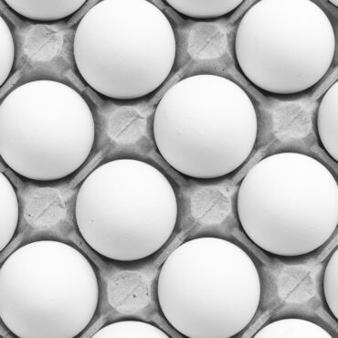 Close-up of white eggs neatly arranged in a gray egg carton in grayscale.