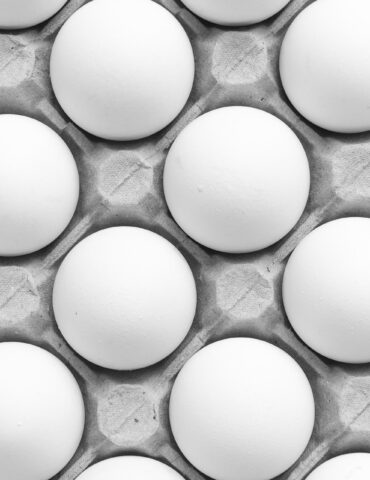 Close-up of white eggs neatly arranged in a gray egg carton in grayscale.