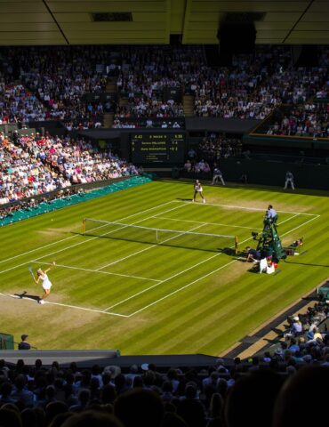 Tennis match on a sunlit grass court with a player serving, surrounded by a packed stadium.