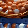 Basket of brown and white eggs in a woven basket on a blue egg carton nearby.