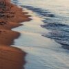 Sunlit sandy beach meeting calm ocean waves, with a gentle shoreline curving into the distance at sunset.