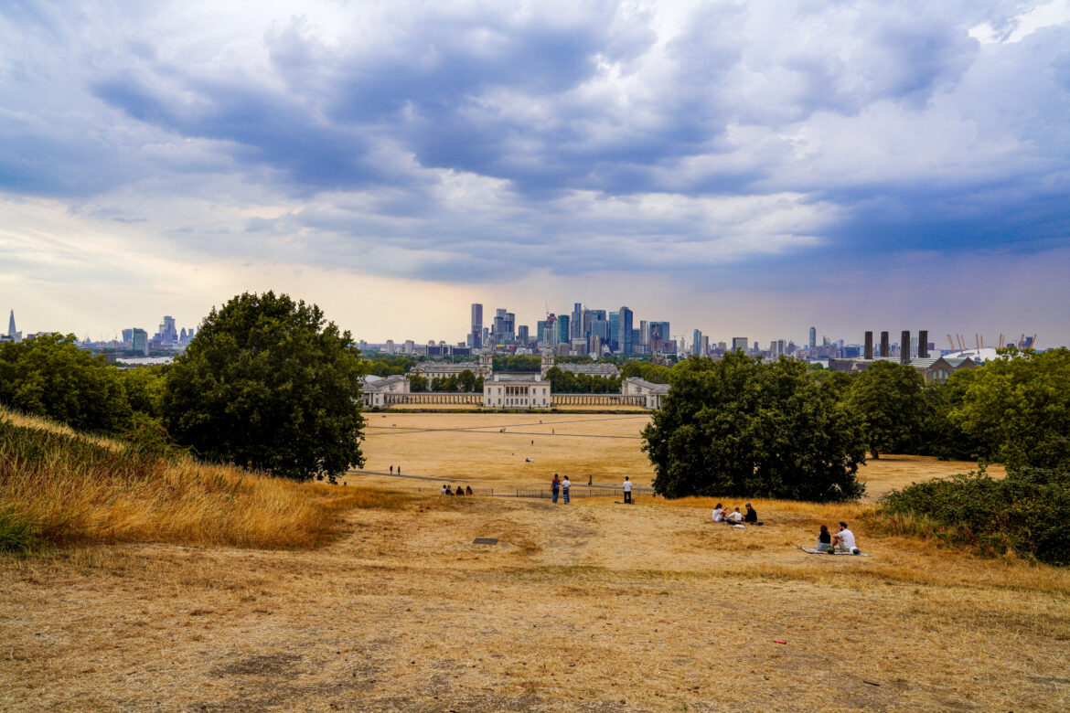 Wysuszona trawa w Greenwich Park w Londynie podczas fali upałów. Fot. Alisdare Hickson / Wikimedia Commons, CC BY-SA 2.0.