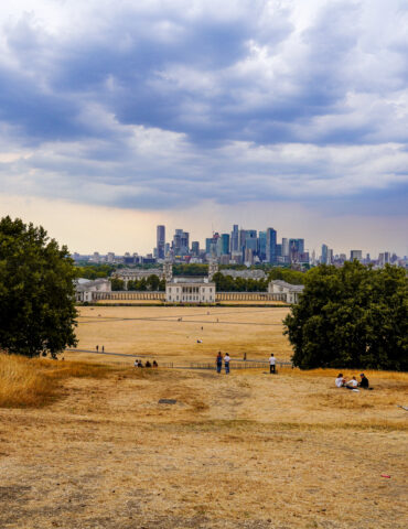 Wysuszona trawa w Greenwich Park w Londynie podczas fali upałów. Fot. Alisdare Hickson / Wikimedia Commons, CC BY-SA 2.0.