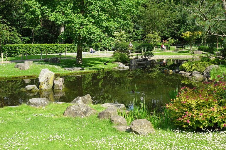 Kyoto_Garden_-_Holland_Park-_London_England_-_DSC03761 - NOTE.radio - Polskie radio w UK | Polskie radio w Londynie