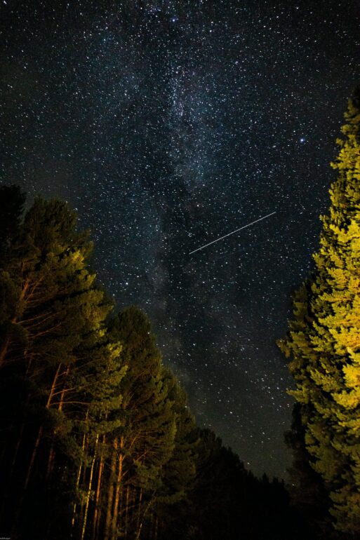 Perseidy - NOTE.radio - Polskie radio w UK | Polskie radio w Londynie Star-filled night sky over silhouetted trees, with a faint meteor streak across the Milky Way.