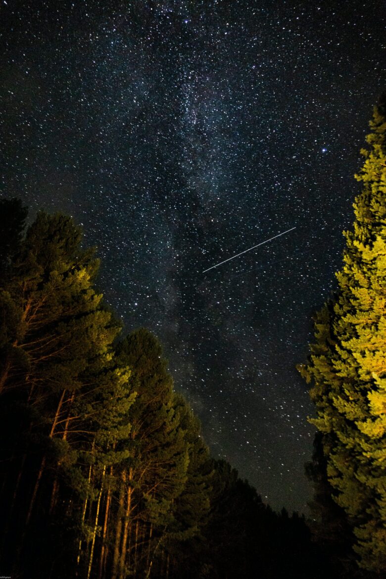 Star-filled night sky over silhouetted trees, with a faint meteor streak across the Milky Way.
