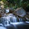Holland Park – ukryta Japonia w sercu Londynu. To miejsce ma niezwykłą historię
