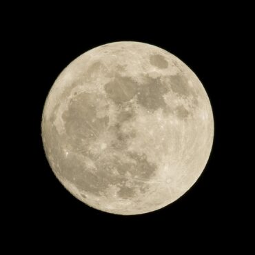 Close-up view of the Moon's cratered surface against a black sky; details of craters and maria visible throughout the disk.