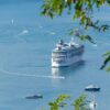Large white cruise ship cruising on calm blue water, with several small boats nearby and green leaves framing the scene.