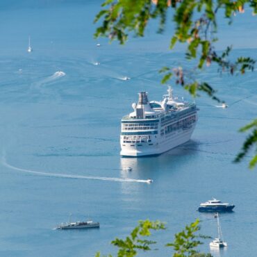 Large white cruise ship cruising on calm blue water, with several small boats nearby and green leaves framing the scene.