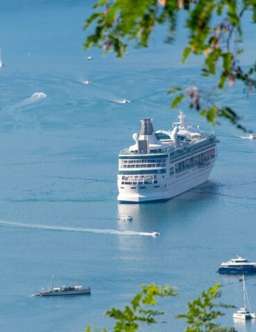 Large white cruise ship cruising on calm blue water, with several small boats nearby and green leaves framing the scene.