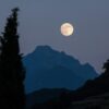 Full moon rising over a silhouetted mountain range at dusk, with a tall tree in the foreground on the left.