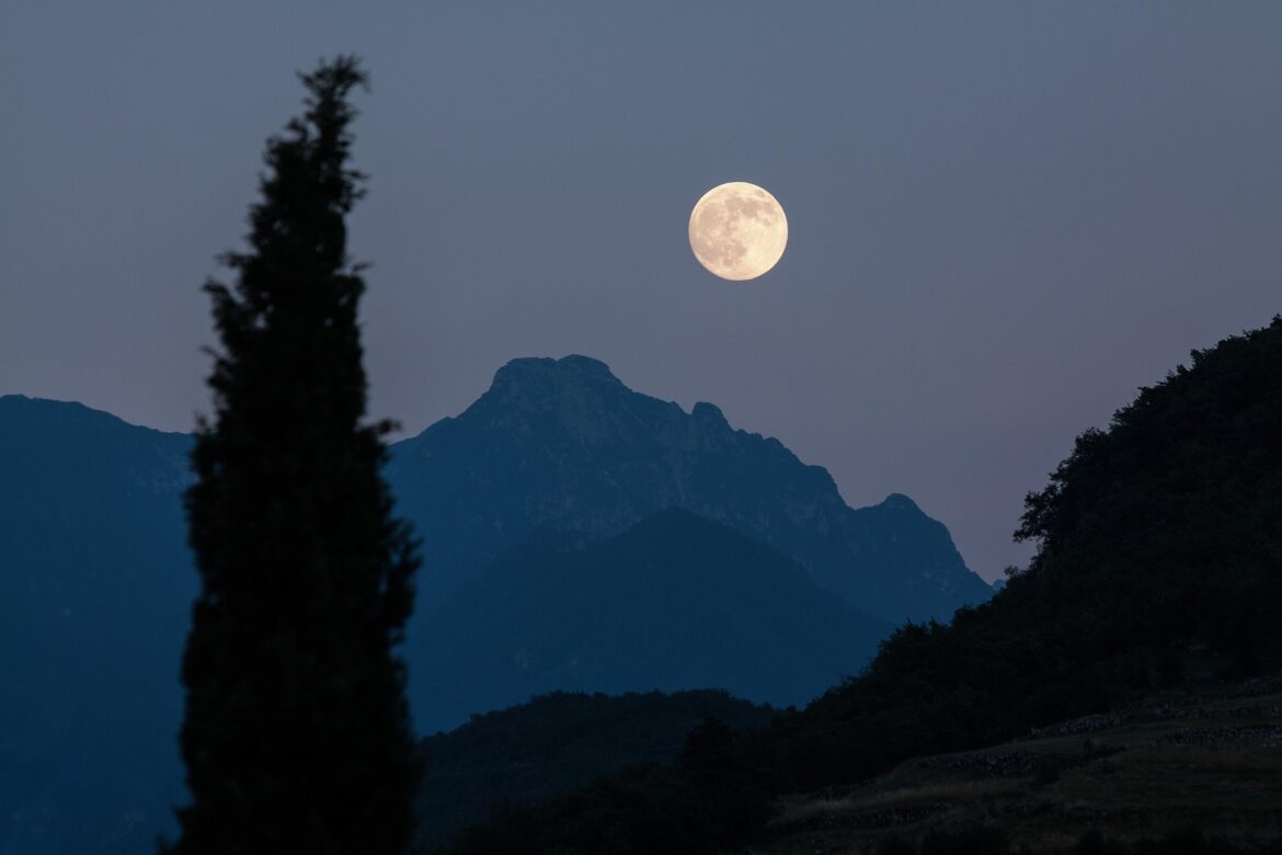 Full moon rising over a silhouetted mountain range at dusk, with a tall tree in the foreground on the left.