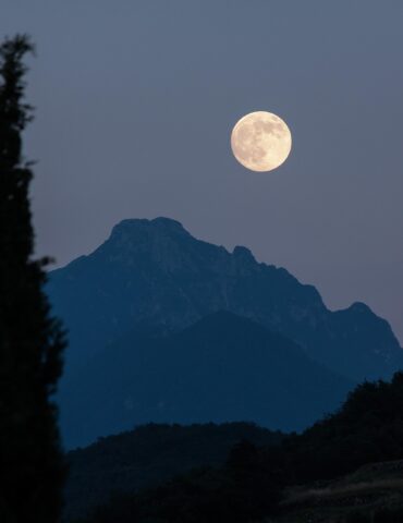 Full moon rising over a silhouetted mountain range at dusk, with a tall tree in the foreground on the left.