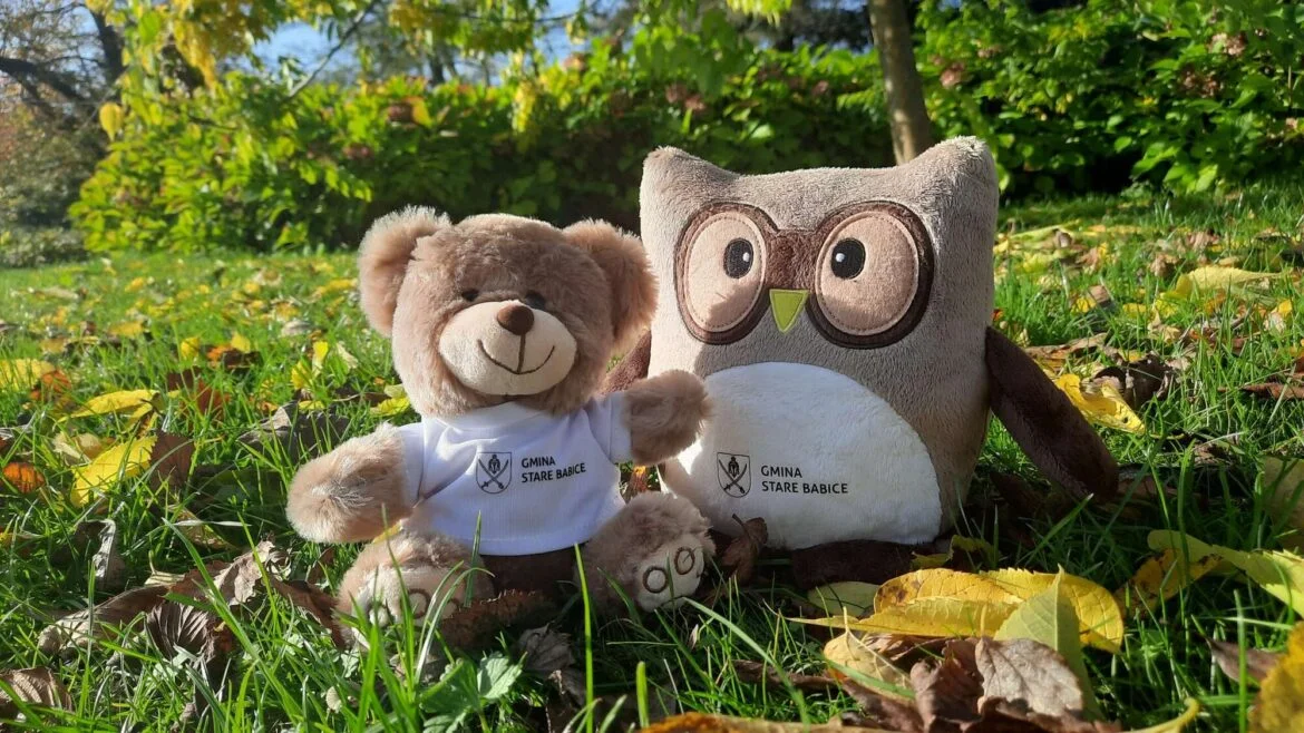 Two plush toys—a brown teddy bear and a gray owl—sit on sunlit grass among autumn leaves, wearing white shirts with a crest.