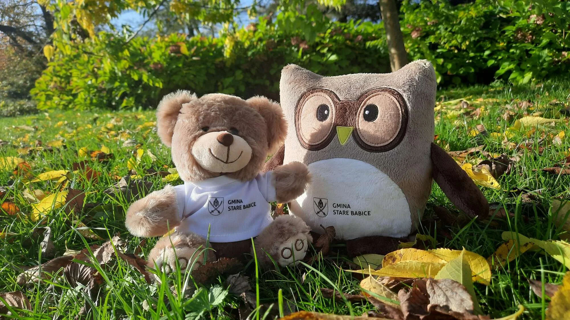 Two plush toys—a brown teddy bear and a gray owl—sit on sunlit grass among autumn leaves, wearing white shirts with a crest.
