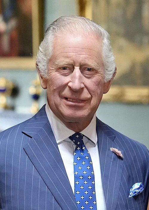 Older man in a blue pinstripe suit with a pink boutonniere at a formal event.