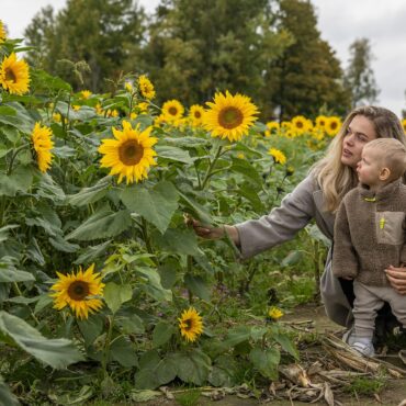 Mother kneeling beside a field of tall sunflowers with her young child, both looking at the blossoms.