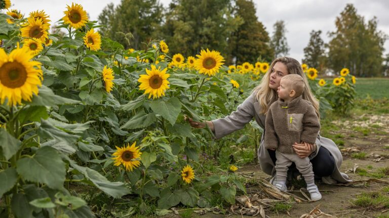 Mother kneeling beside a field of tall sunflowers with her young child, both looking at the blossoms.