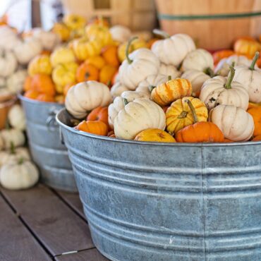 Metal tub overflowing with white and orange pumpkins at a market stand