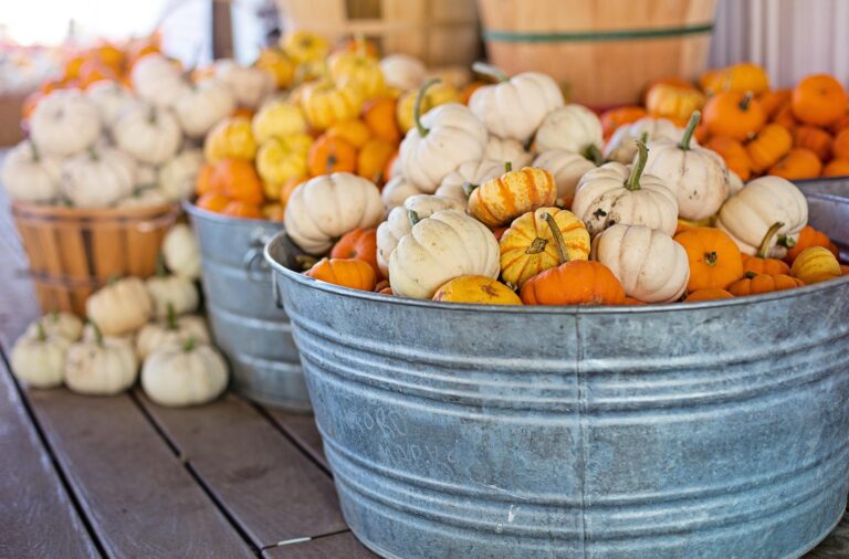 Metal tub overflowing with white and orange pumpkins at a market stand